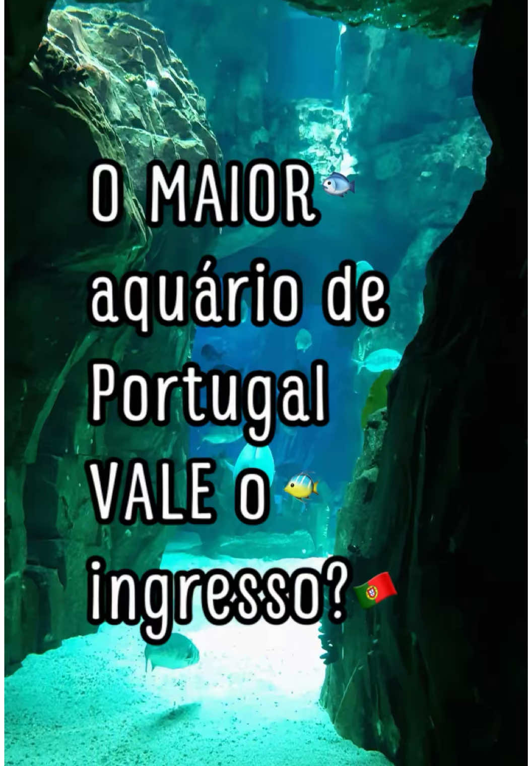 @Minha Vida de F&eacute;rias