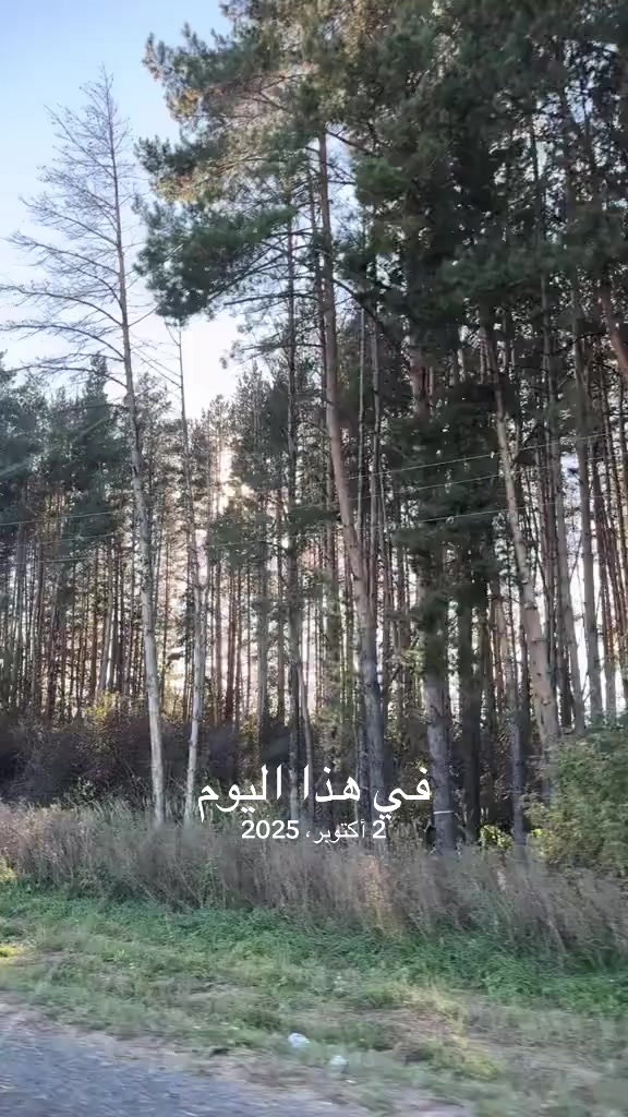 @Attitovich russia 🇹🇷🇪🇬
