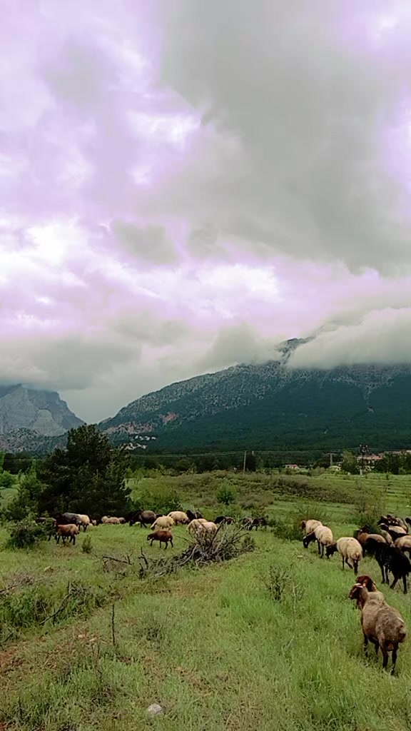@yusuf göncü