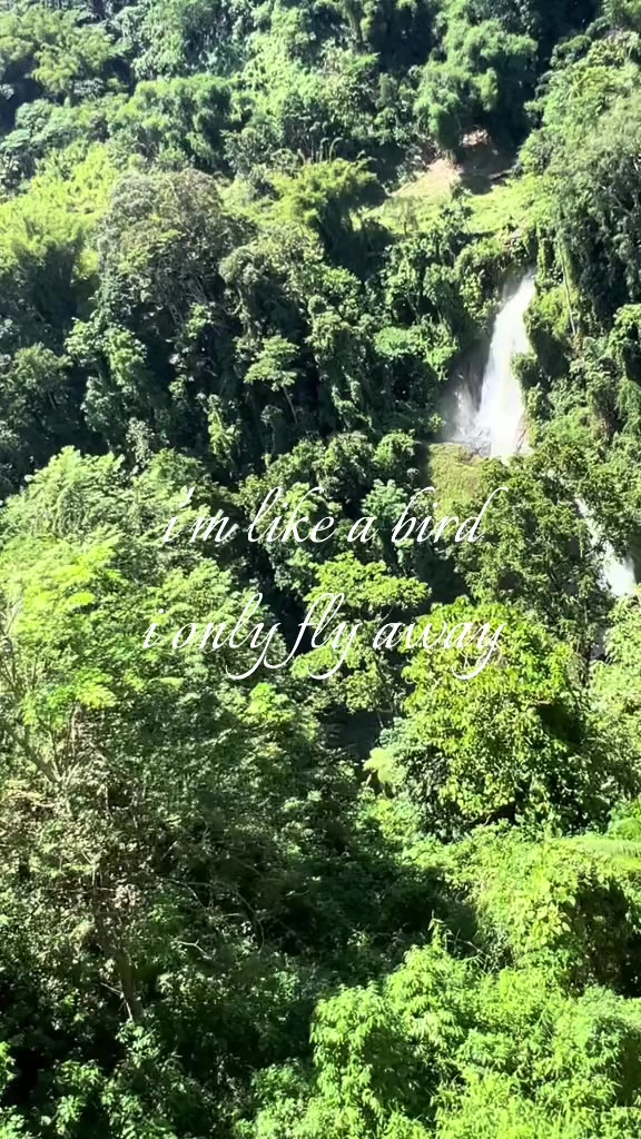 @seek.maria