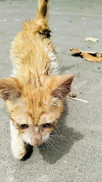 @๐จ๐๐๐๐๐๐ฅ๐ณ๏ธ๐๐ต๐ญ011
