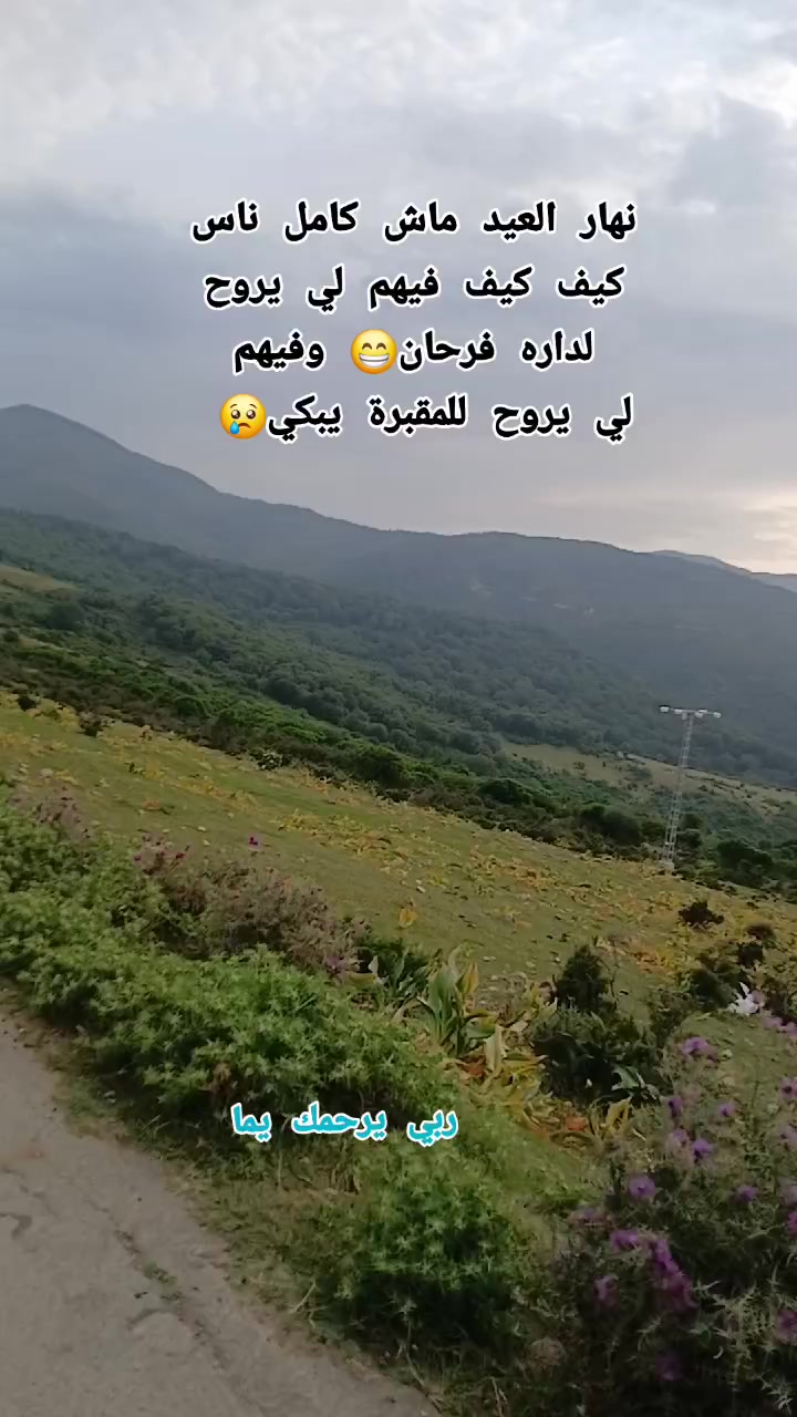 @IMAD. 🇩🇿