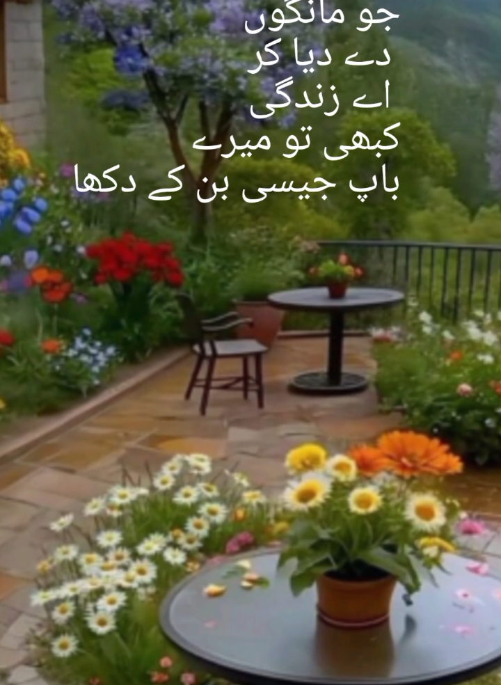@ALIZA💔