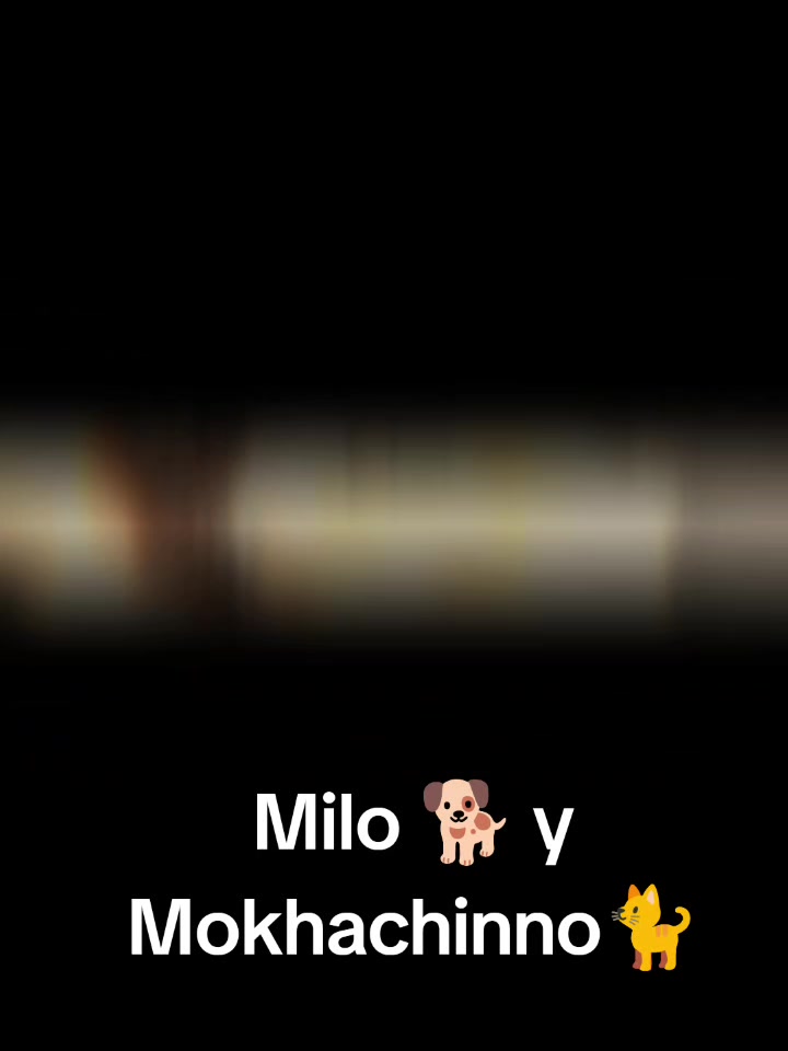 @Soy Nahimi🧸🩷