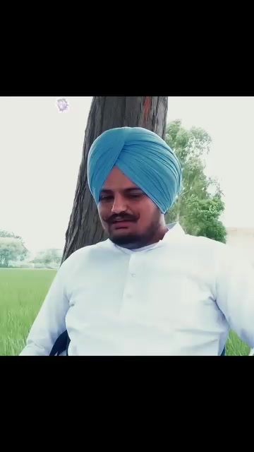 @Shani5911