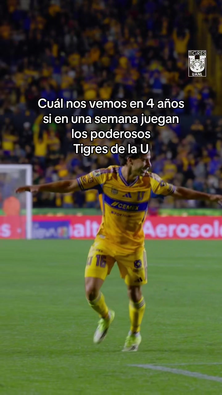 @Club Tigres