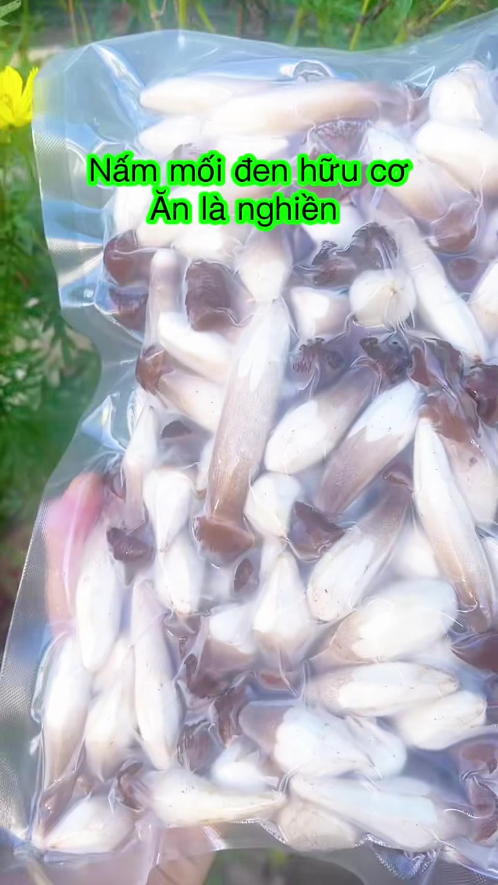 @nguyentuyet_79