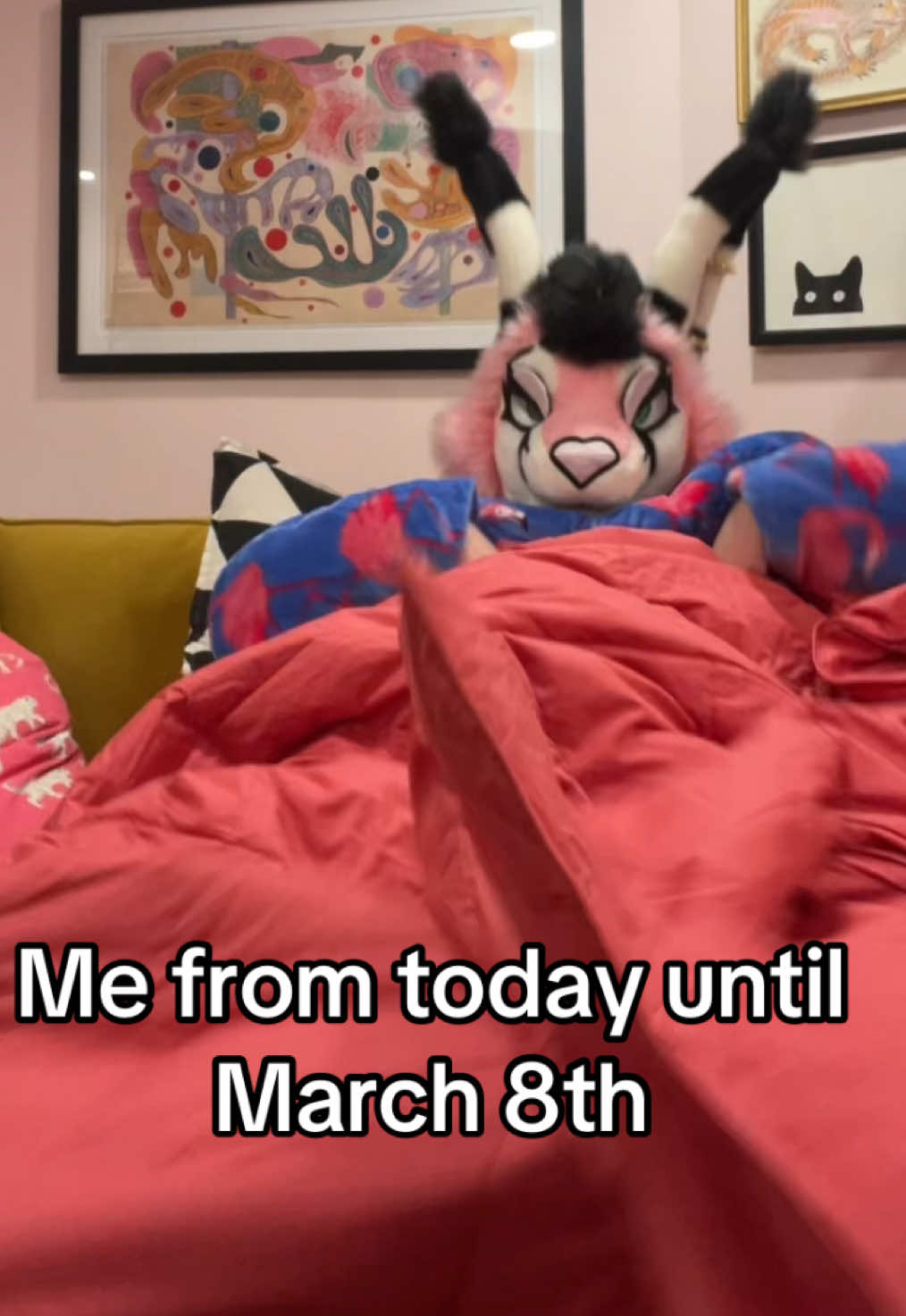 @Juice the Caracal