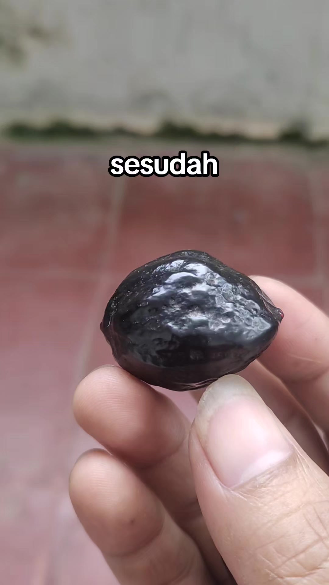 @ibonk