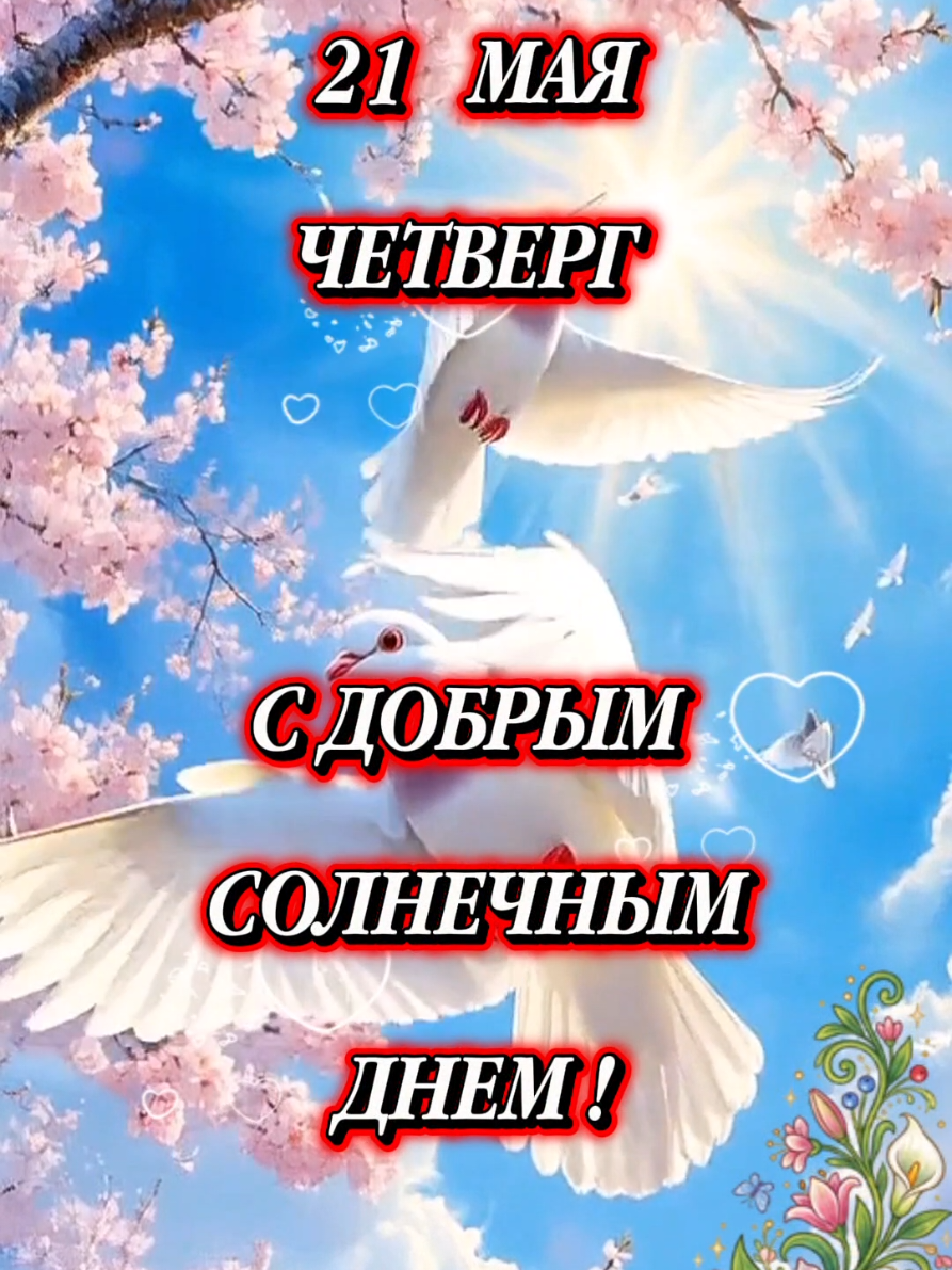 @🇧🇾 Магер Елена ♈