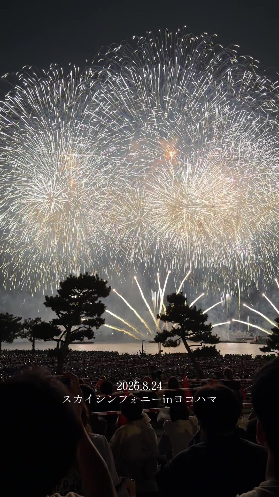 @âïžyukiâïžð°ðŸ