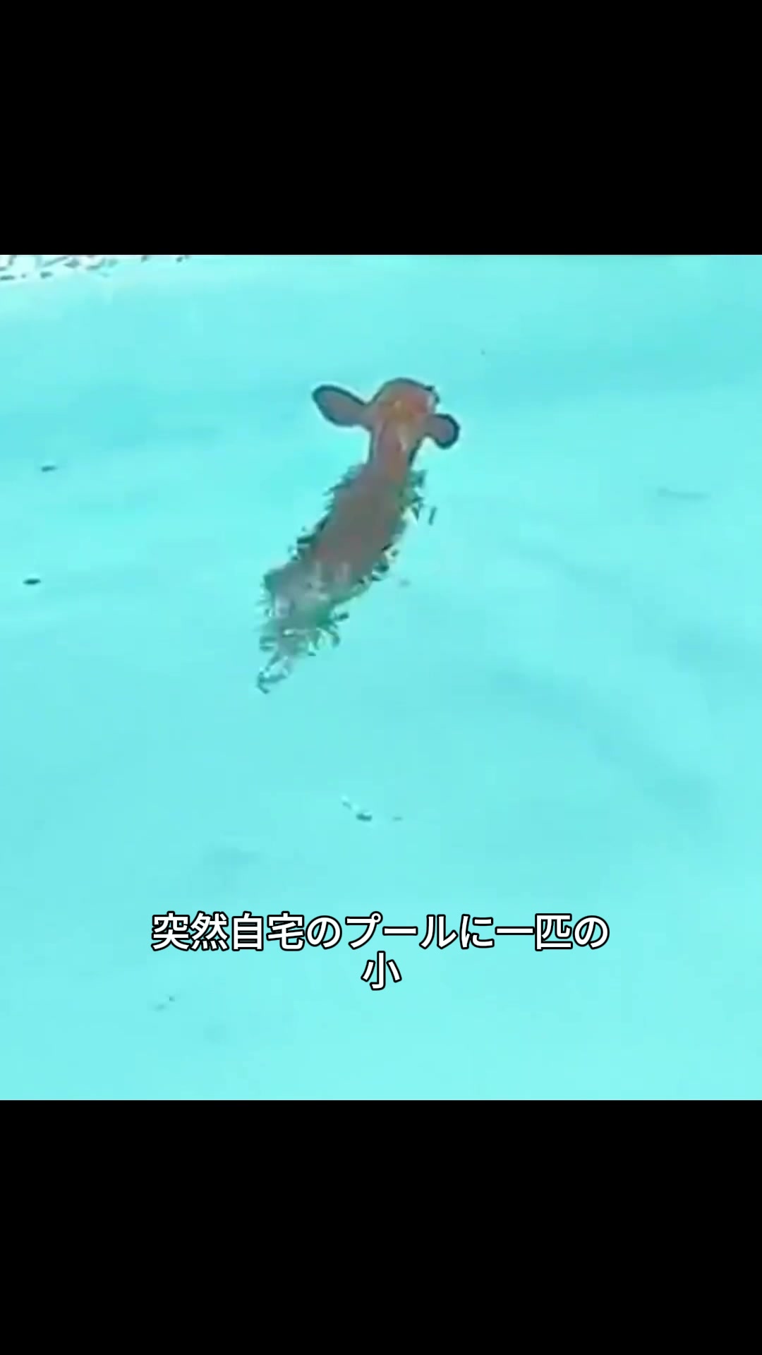 @斎藤アウトドア