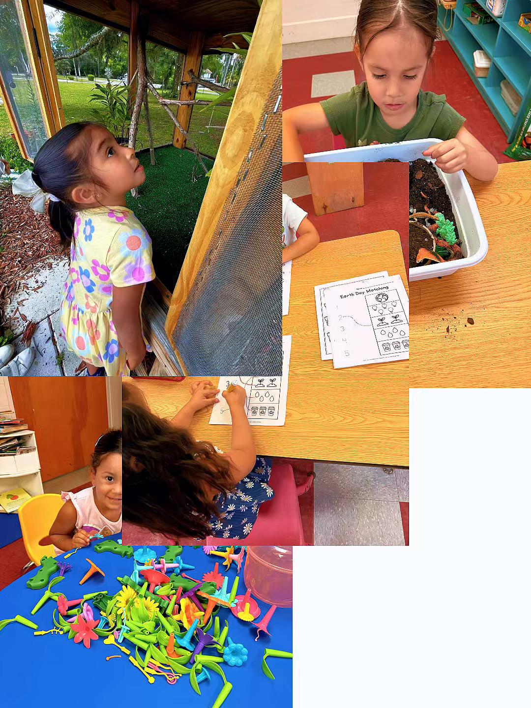 @discoveryacademydeland