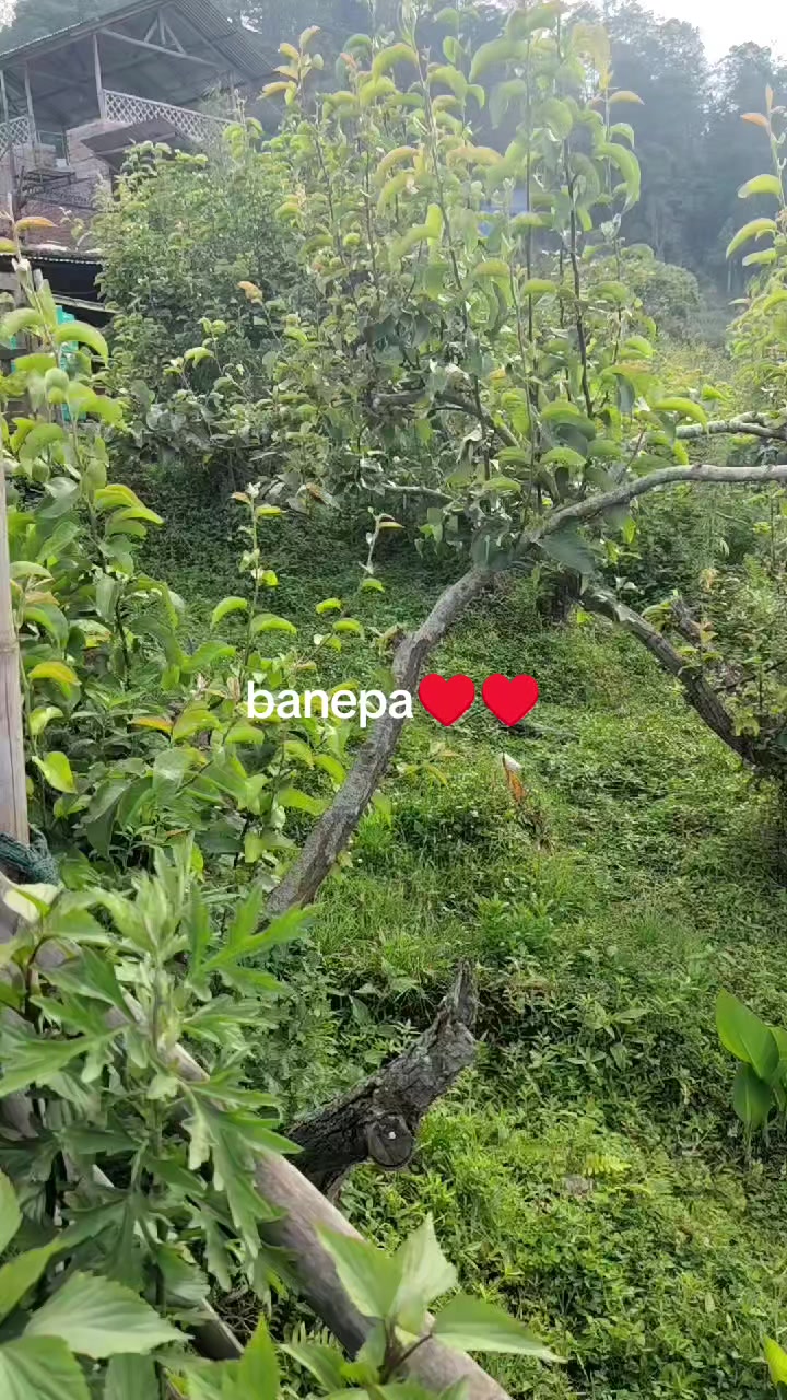 @mamta mahra💝💯❣️🥀🥀🌹🙏🙏