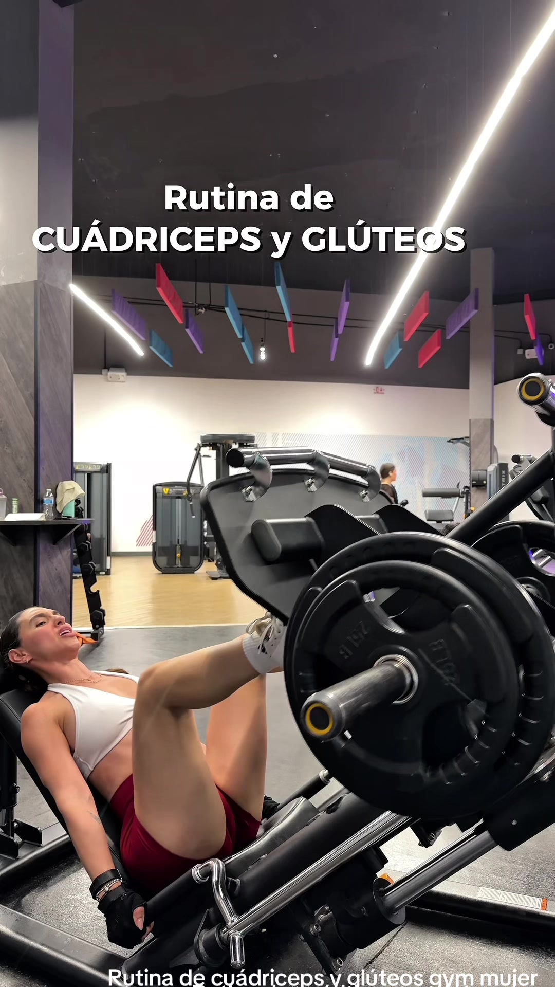 @alefitness