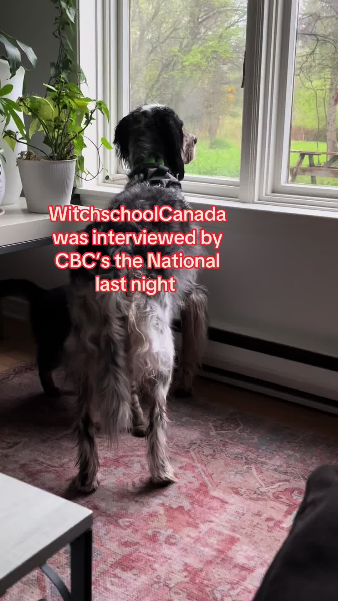 @WitchSchool.ca 🇨🇦