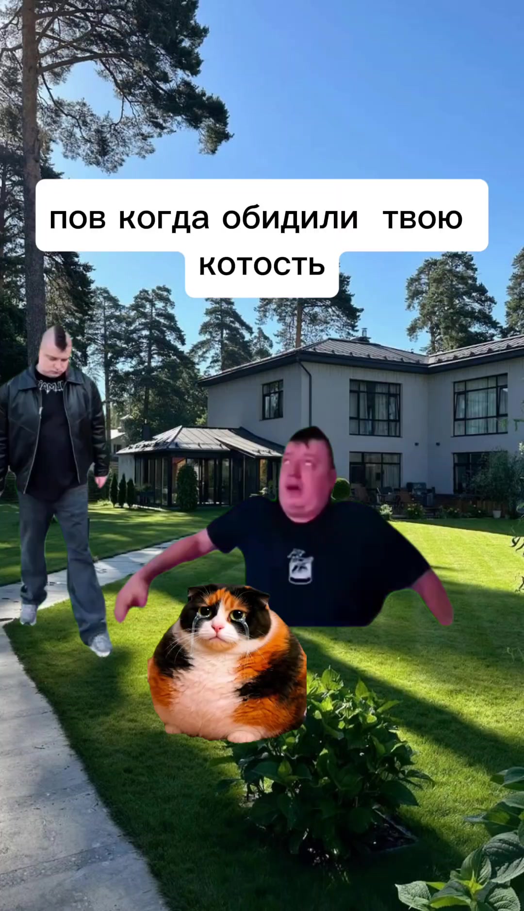 @куки прайм