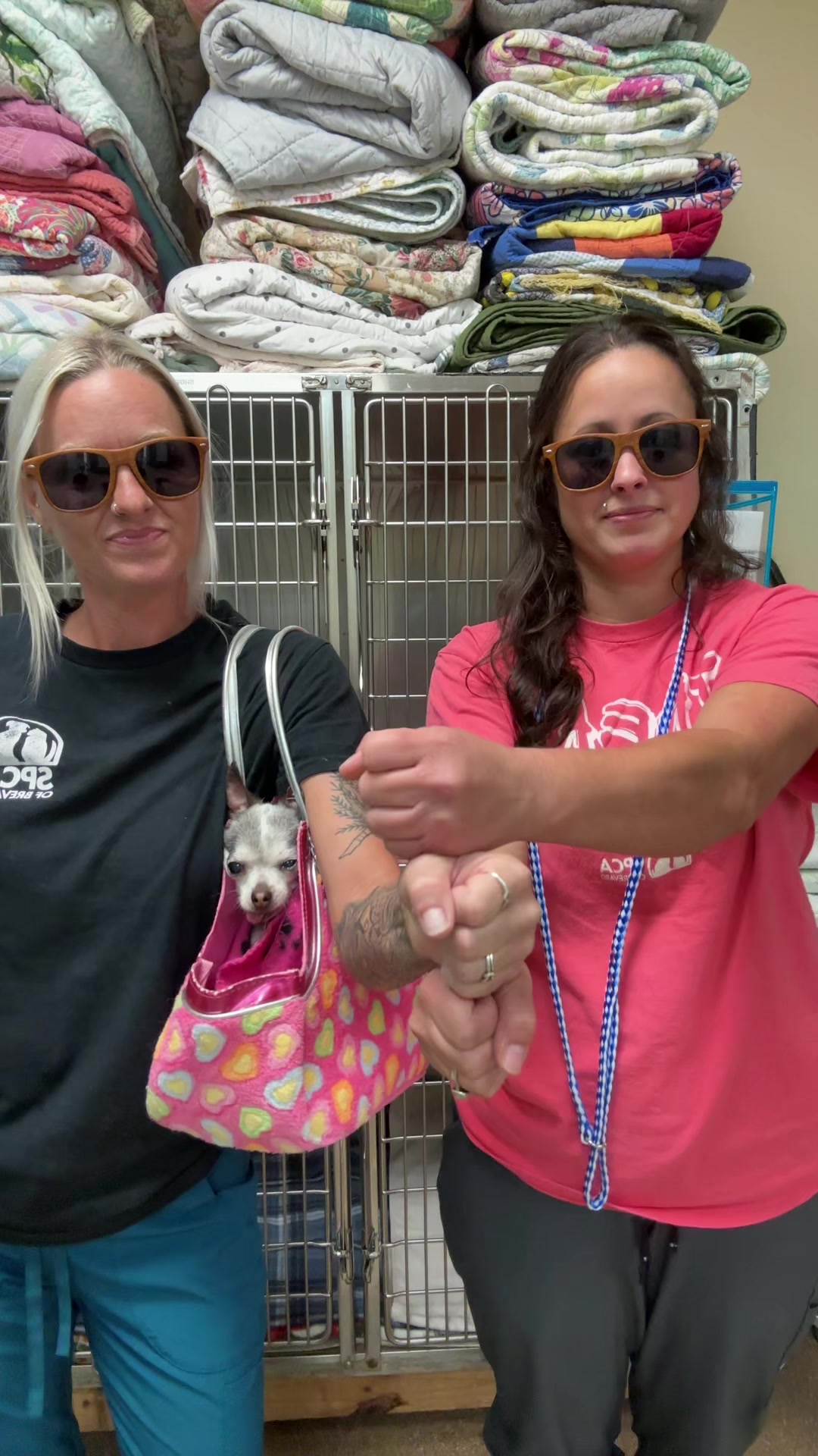 @2vettechs