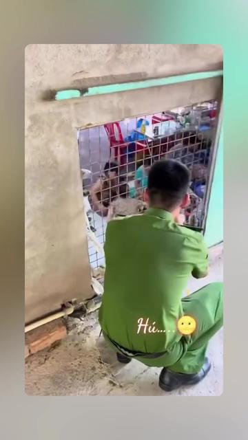 @minhphuong83865