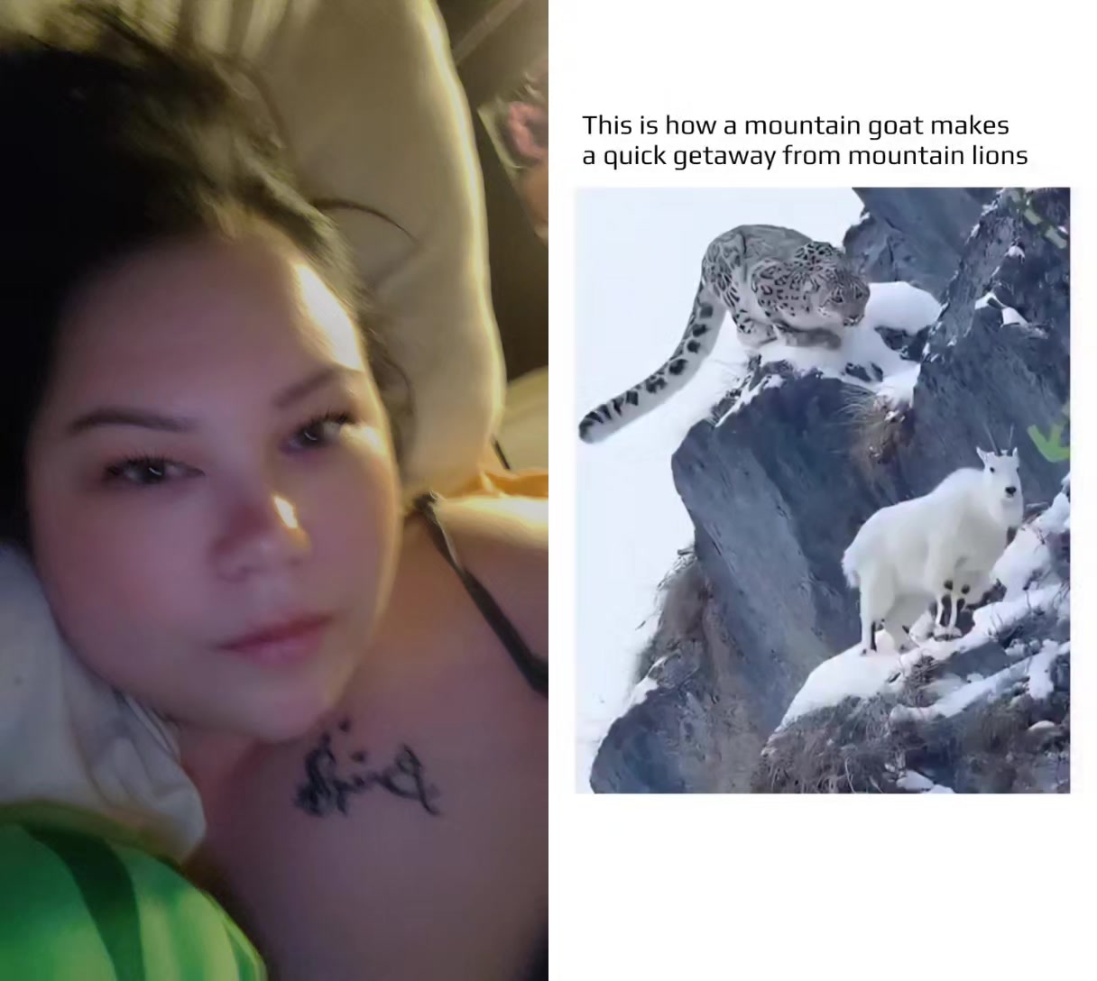 @Nikki Gee