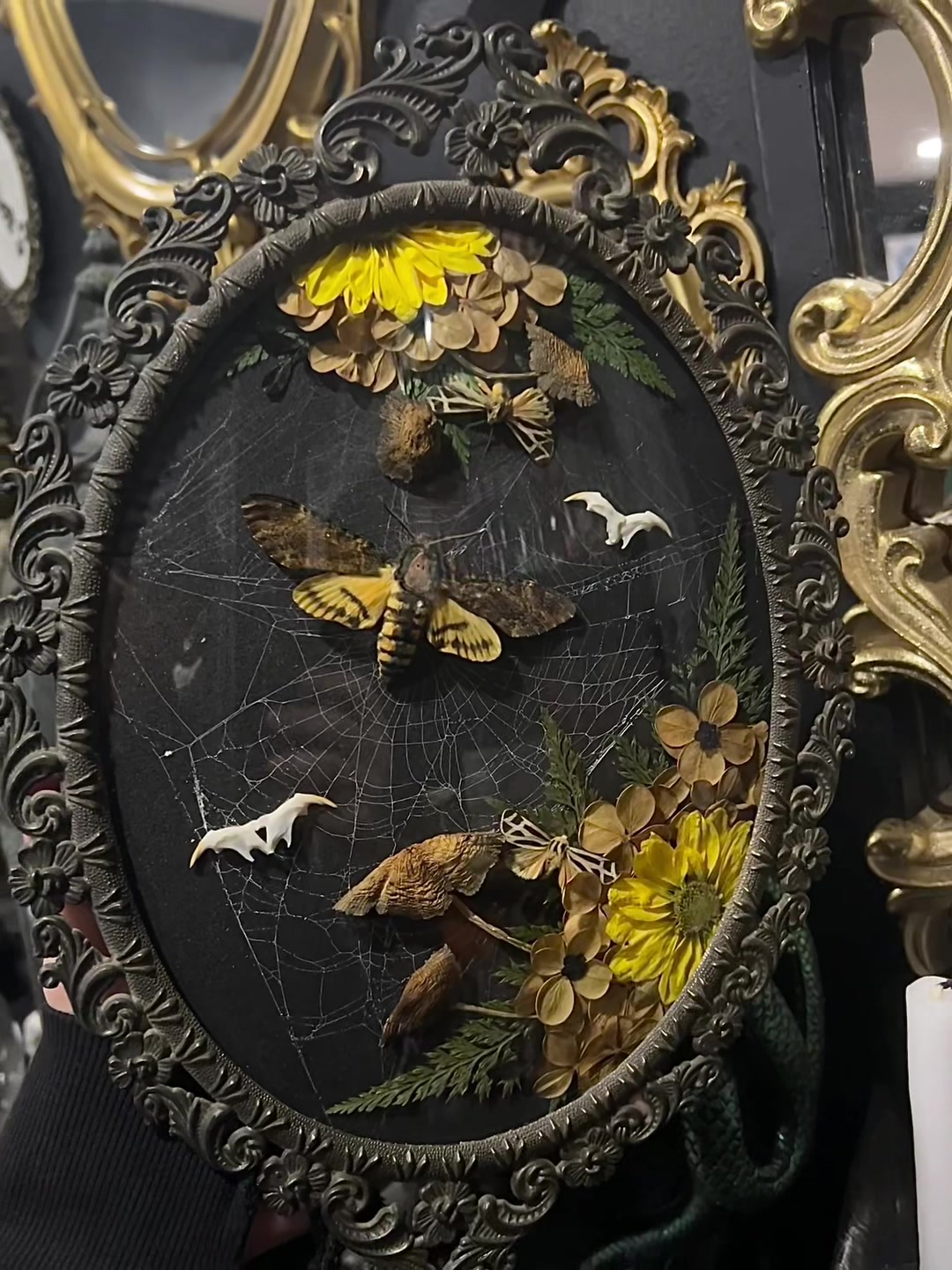 @Macabre Casket