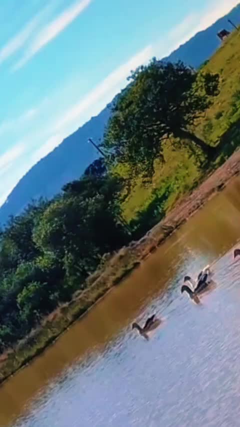 @Odete Araujo