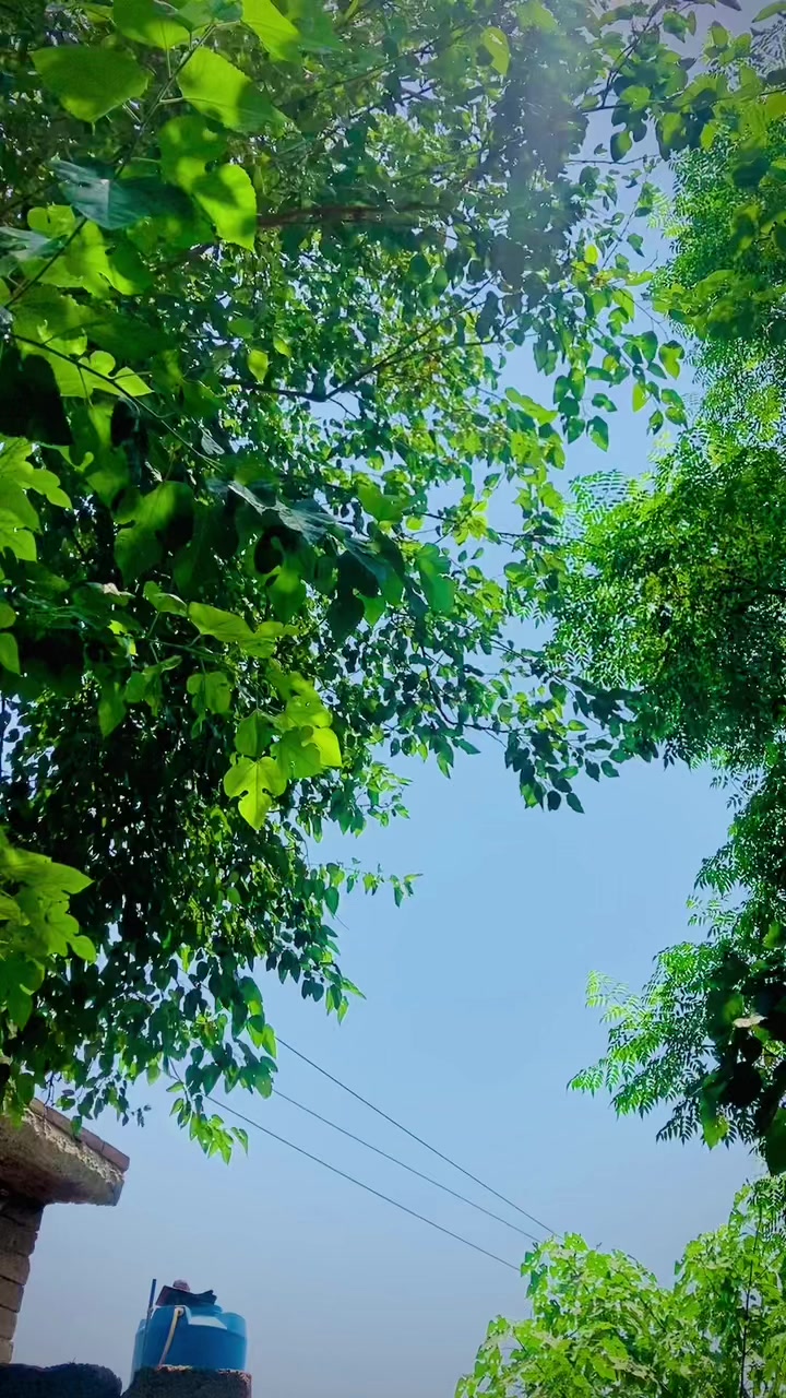 @🦋PRINCE of SWABI 🦋