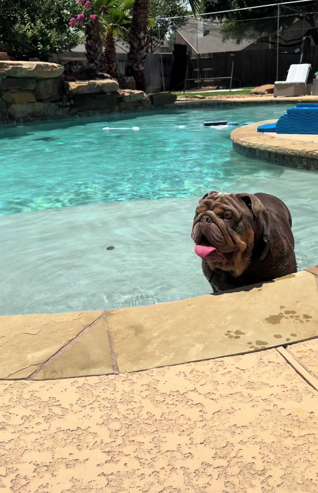 @RawlsTheBulldog
