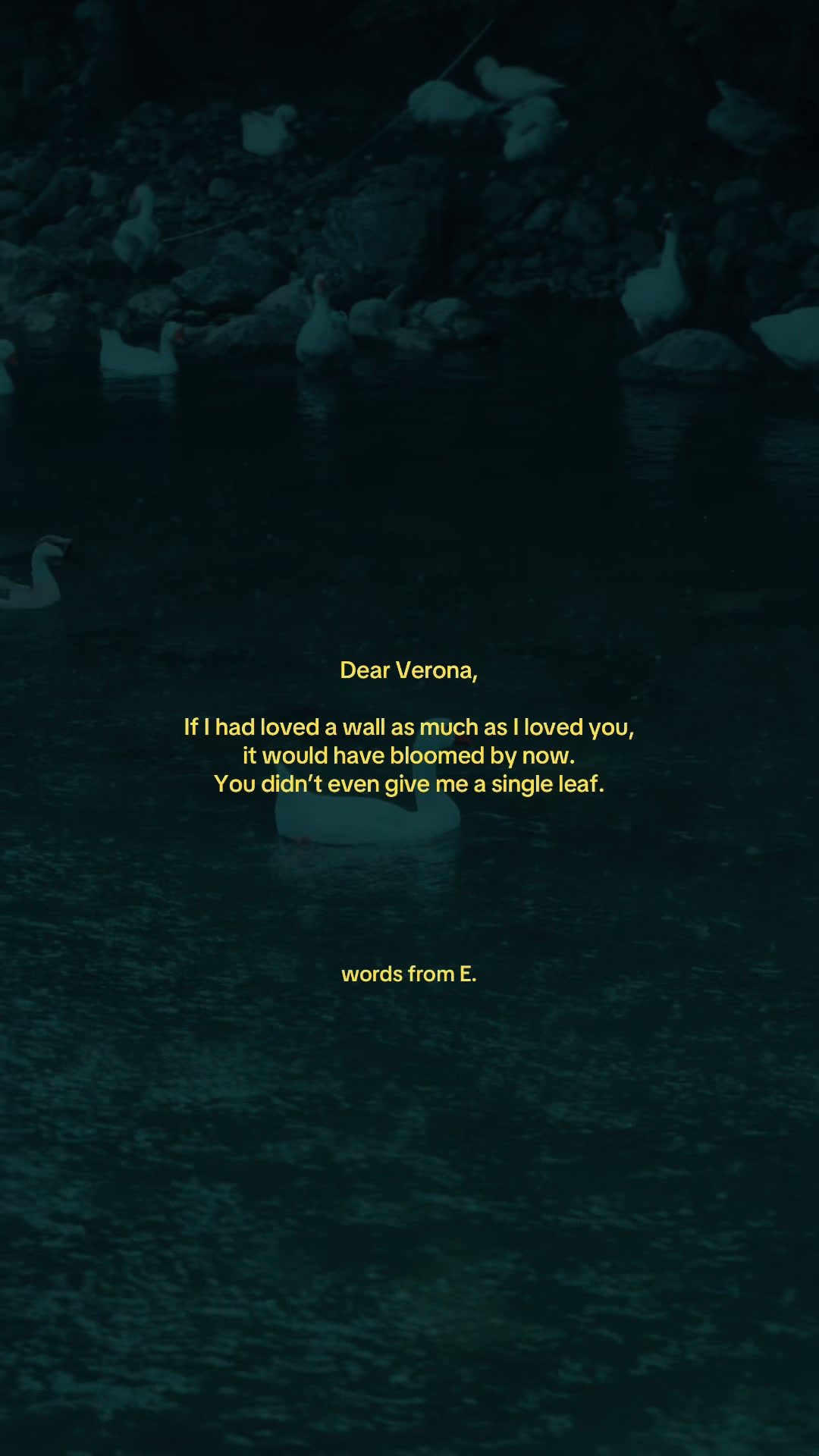 @inanotherlife