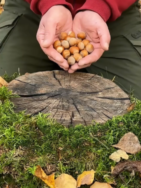 @Survival Skills TV