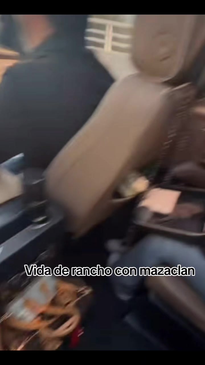 @mansi&oacute;n vip clips