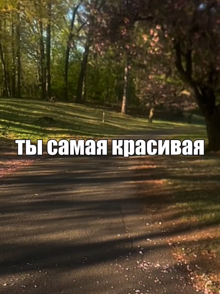 @музыка для липсингов