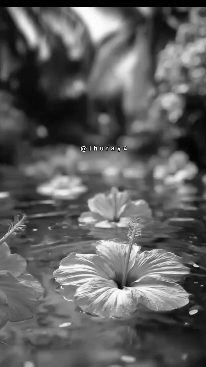 @ثــريا ✨