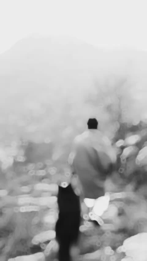 @🍁 ZOHAIB KHAN 🍁
