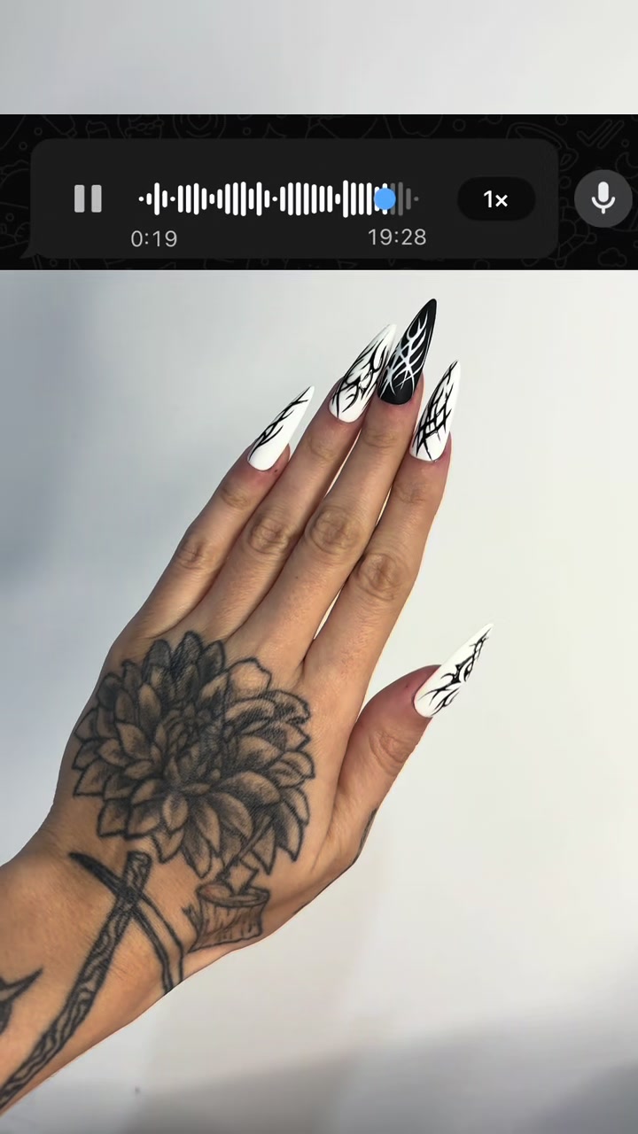 @zabelao