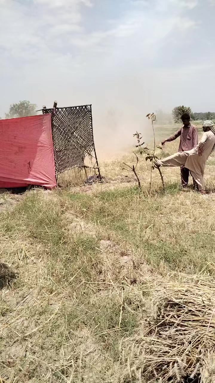 @Malik Bhai8423