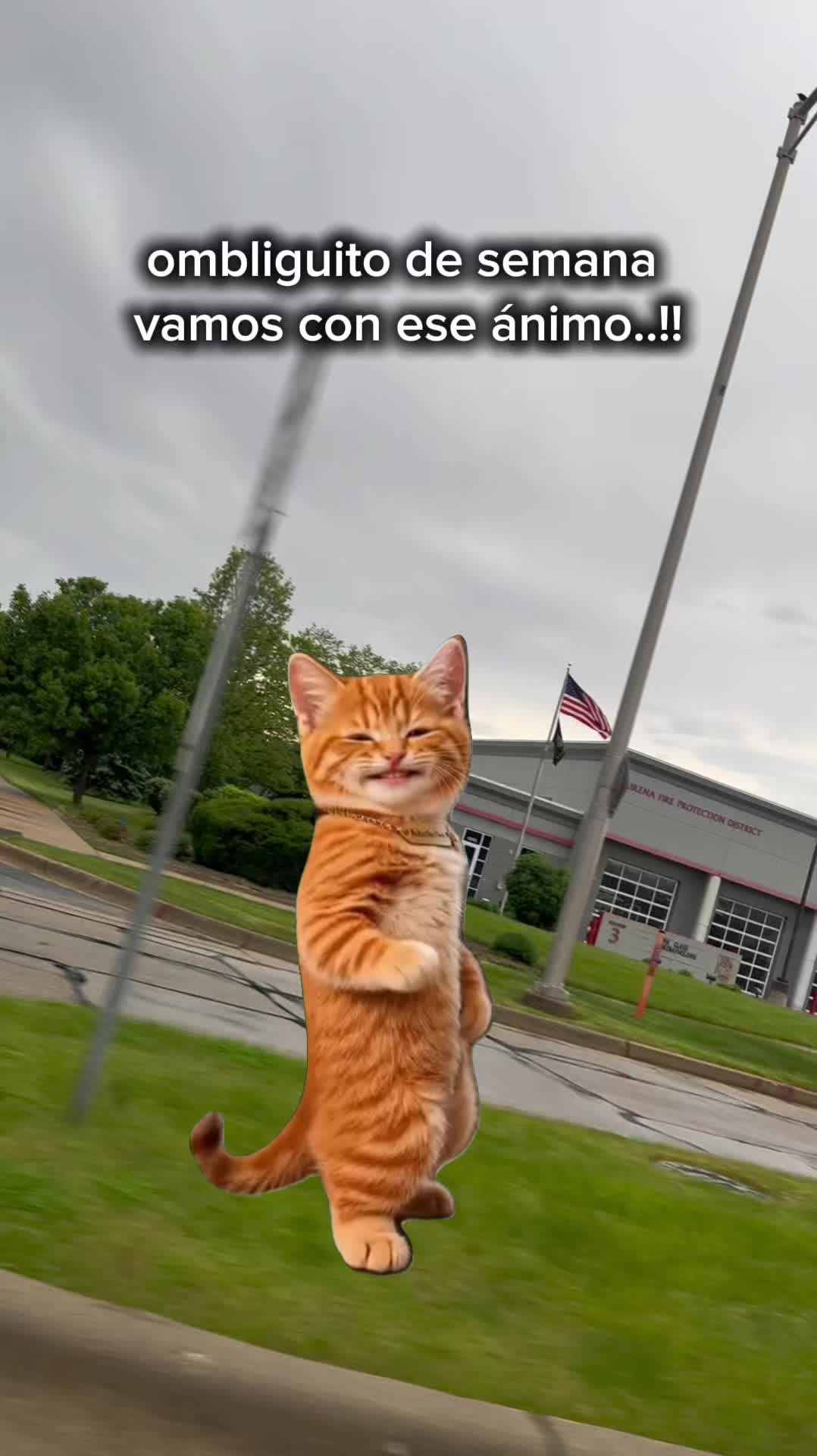 @๐ Paloma Rodriguez ๐ฒ๐ฝ