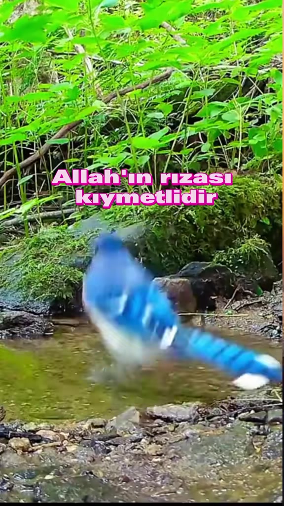 @HUZURBUL.tv