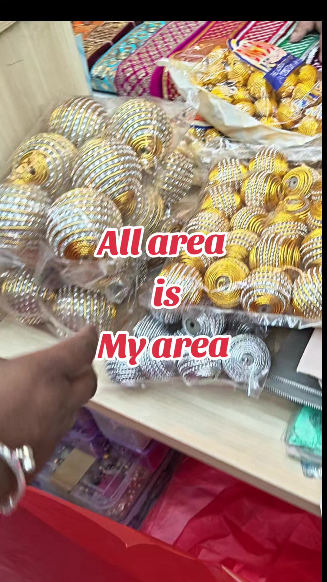 @Zees Rajasthani