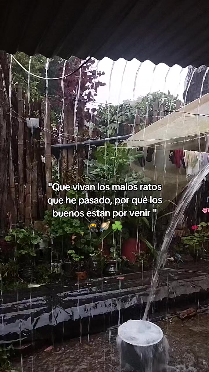 @El Mopri 5/5