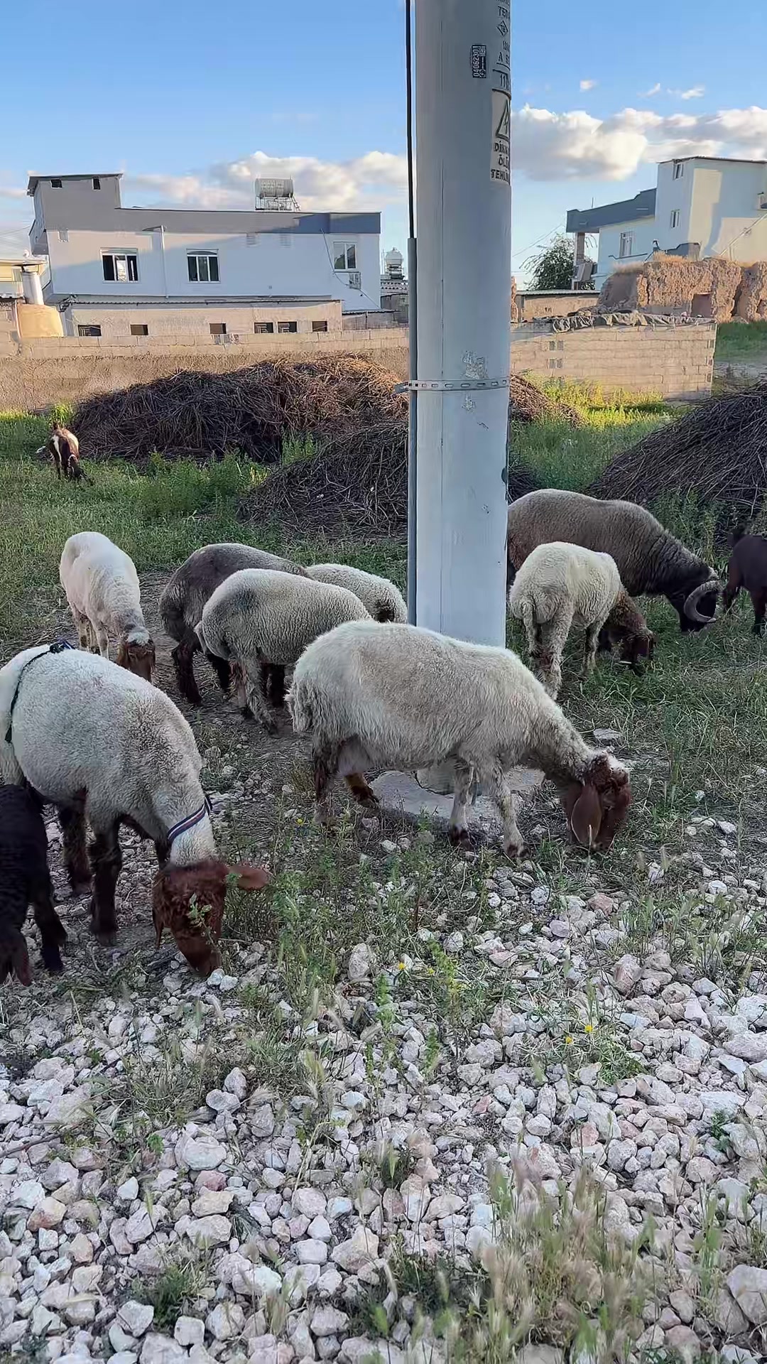 @Işim Olmaz