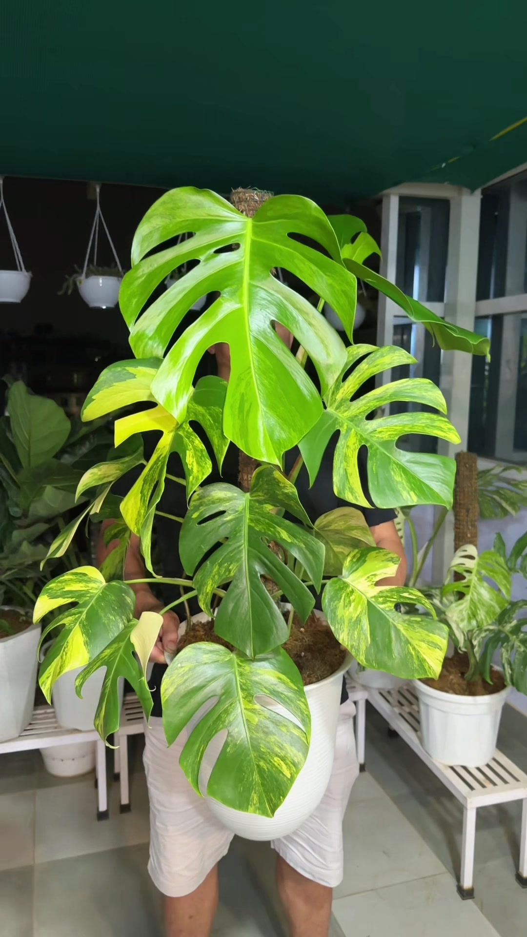 @Plantlife50