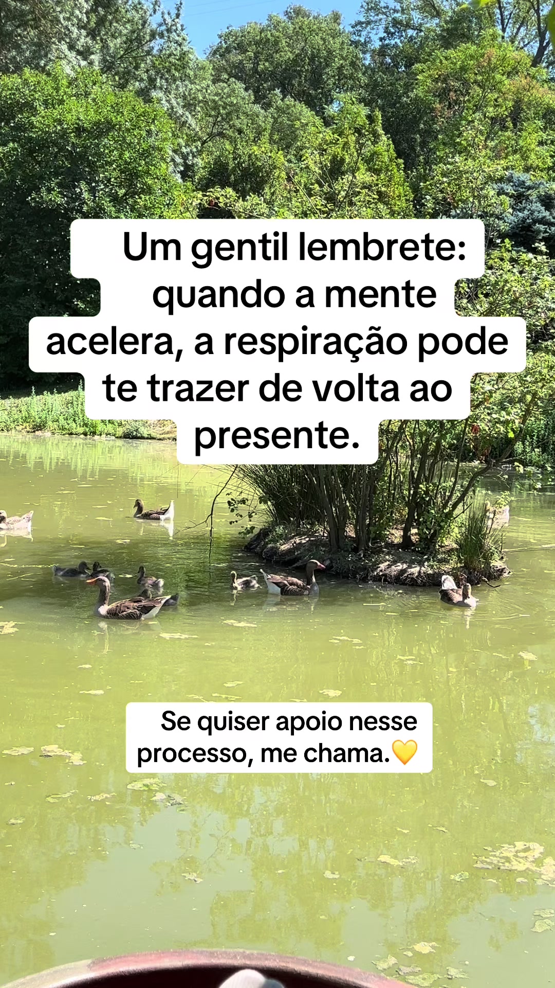 @Vanessa E. Santos | Terapeuta