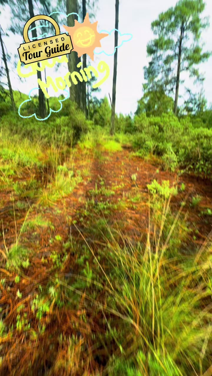 @Caminos y Senderos Mtb & Camp