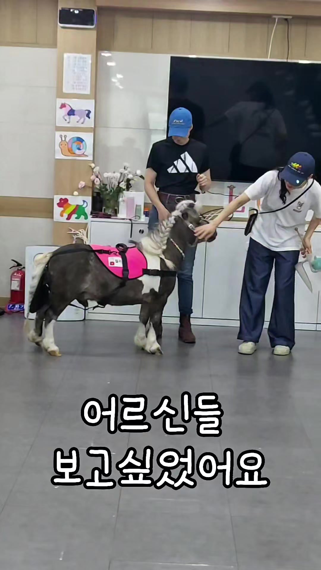 @작은말월리 | 월리플랍🦄