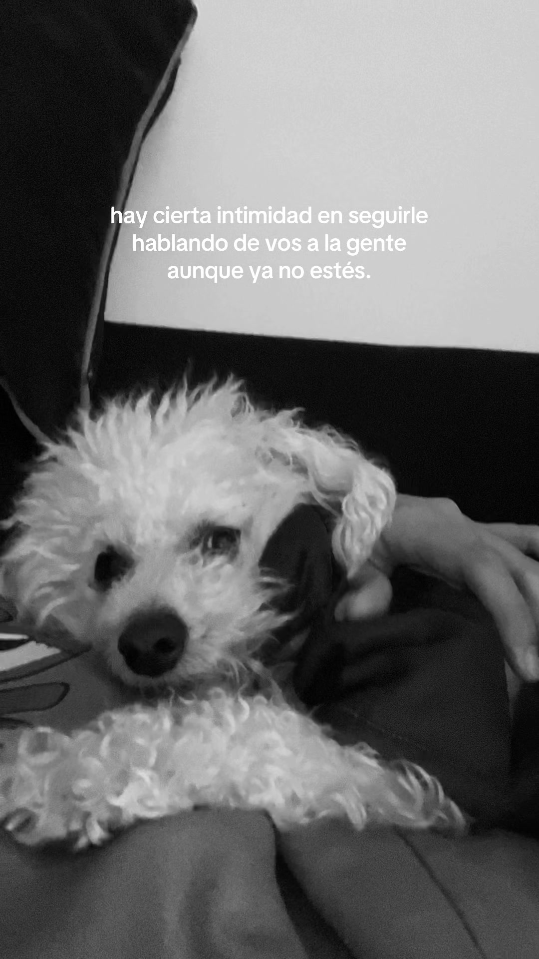 @Fiochi