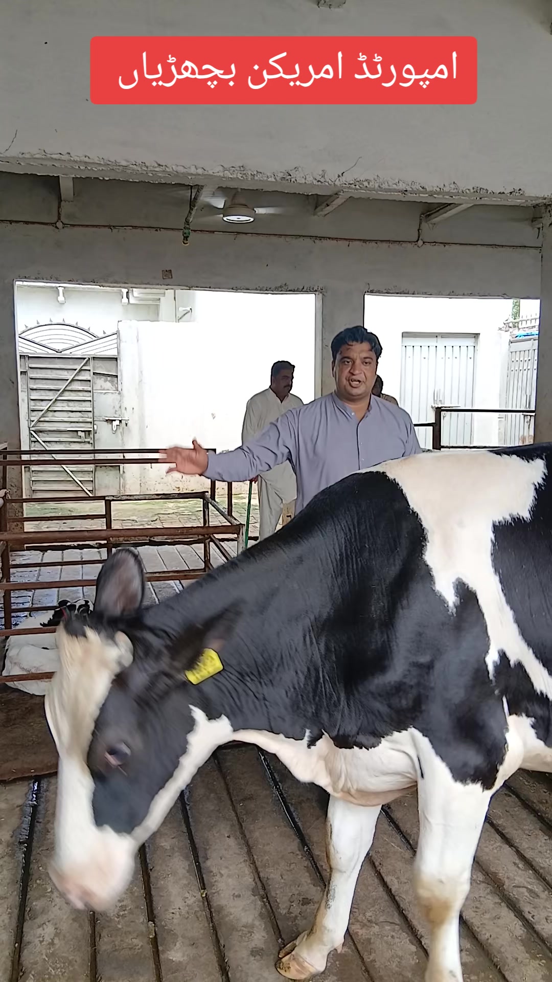 @Farming and Business Ideas