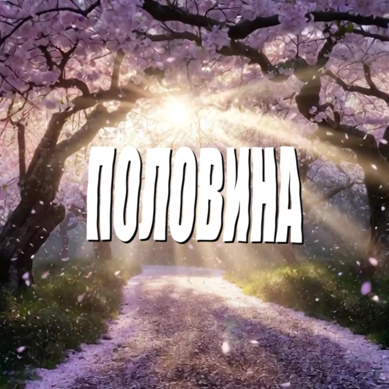 @динзик🤍| ディン