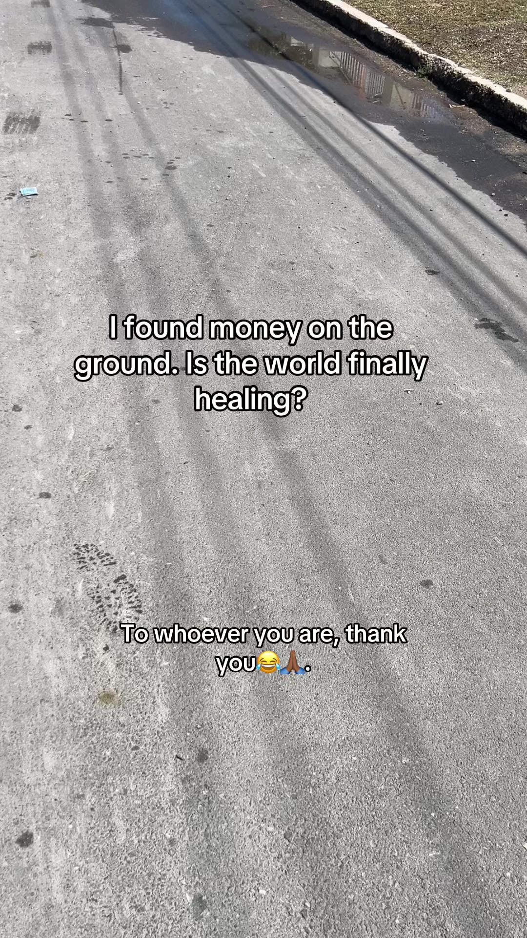 @&reg;️yan