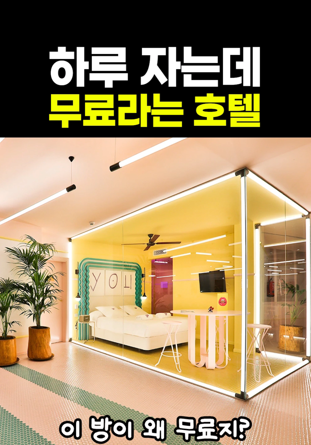 @짧주
